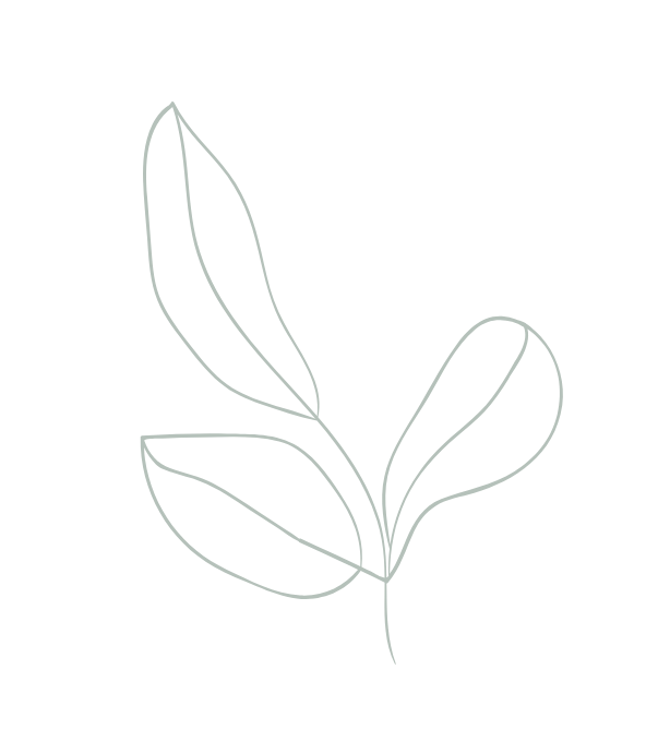 capimsantoaromas.shop